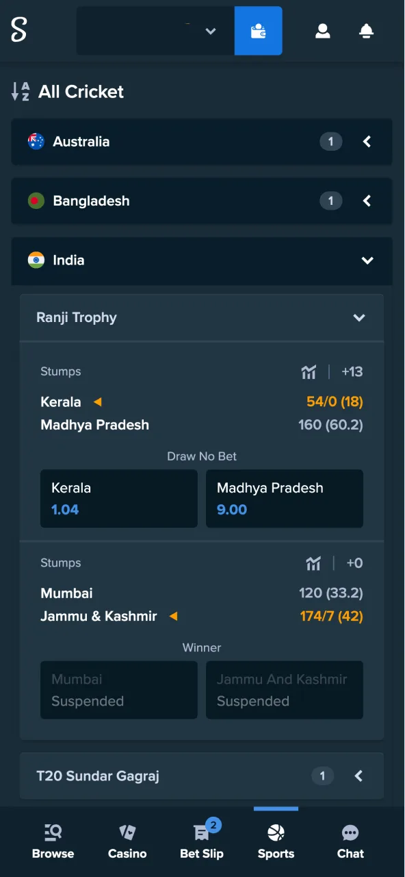 Make a bet for IPL matches on Stake's sportsbook.